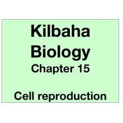 Biology Chapter 15 - Cell Reproduction